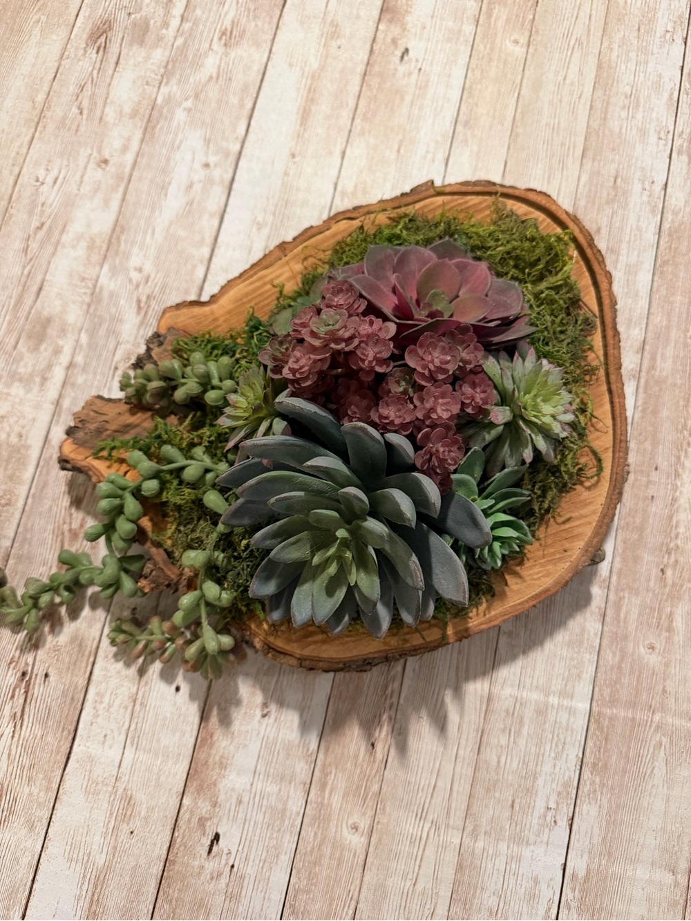 Faux Succulent Centerpiece in Green and Burgundy - Picture 3 of 5